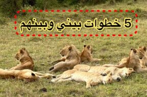السياحه في افريقيا كينيا الجزء الثاني / 2 / سفاري #رديني_العجمي
