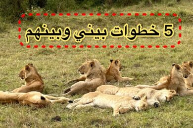 السياحه في افريقيا كينيا الجزء الثاني / 2 / سفاري #رديني_العجمي