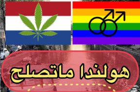 هولندا لااا تصلح للعوائل #رديني_العجمي