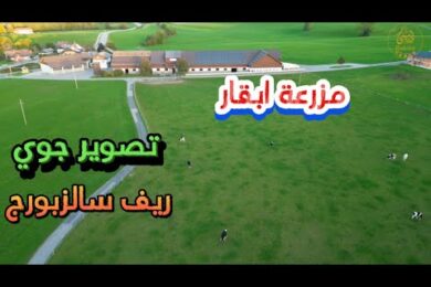 من ميونخ الى فيينا