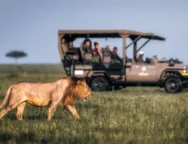 _9af29290-8fb3-4f9e-a955-2482ba7f1d16