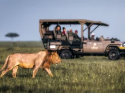 _9af29290-8fb3-4f9e-a955-2482ba7f1d16