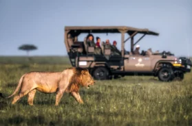 _9af29290-8fb3-4f9e-a955-2482ba7f1d16