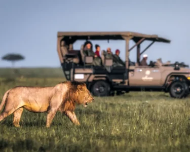 _9af29290-8fb3-4f9e-a955-2482ba7f1d16