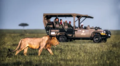 _9af29290-8fb3-4f9e-a955-2482ba7f1d16