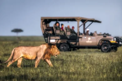 _9af29290-8fb3-4f9e-a955-2482ba7f1d16